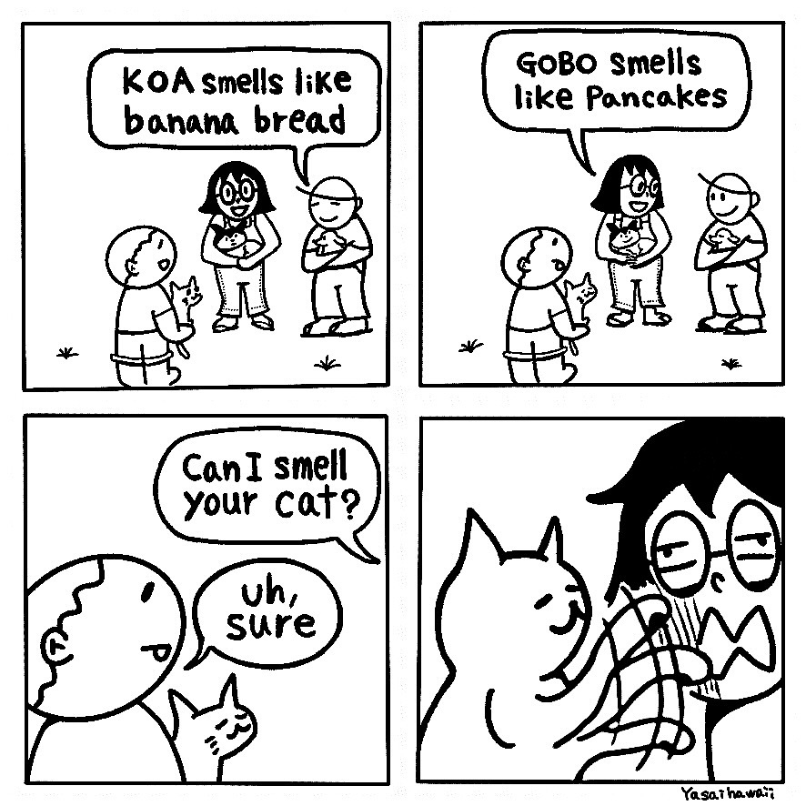 Ken Ken and her friends each hold a dog and a cat and discuss what they smell like. Ken Ken’s dog smells like pancakes, and her friend said her dog KOA smells like banana bread. When Ken Ken tried to smell the cat, he scratched her.
